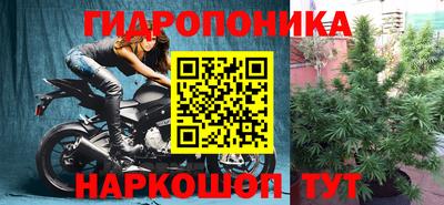 спиды Братск