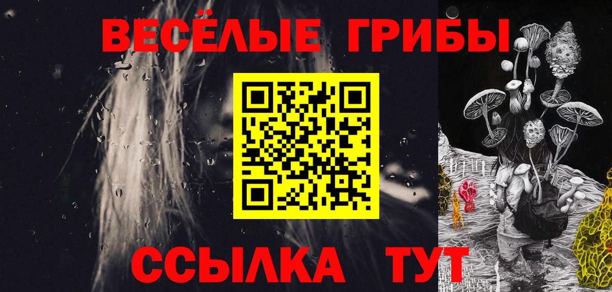 Галлюциногенные грибы Psilocybe  Вход с VPN  Домодедово 